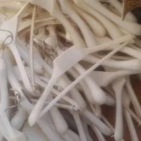 چوب رختی