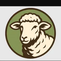 تفاوت گوسفندزنده با گوشت  قصابی