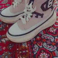 پوتین کفش|کیف، کفش، کمربند|نقده, |دیوار