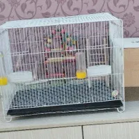 قفس پرنده|لوازم جانبی حیوانات|نیشابور, جمهوری|دیوار