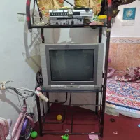 تلفزیون