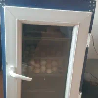 دستگاه جوجه کشی