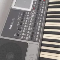 ارگ پیا ۹۰۰|پیانو، کیبورد، آکاردئون|چادگان, |دیوار