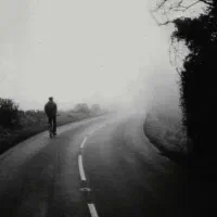 همراهی کنید