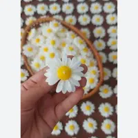 شمع بابونه فقط 10تومن