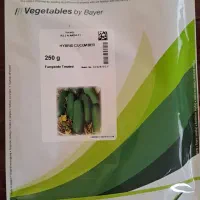 بذر خیار 2n