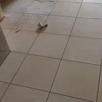 بنایی ساختمان|خدمات پیشه و مهارت|نجف‌آباد, باهنر|دیوار