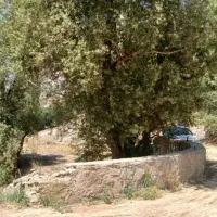 زمین-باغ-میگون-نو