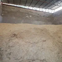 کاه گندم دیم