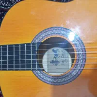 گیتار دیامون|گیتار، بیس، امپلیفایر|زنجان, |دیوار