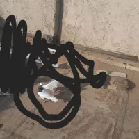 ناناز|حیوانات|نیشابور, ریوند|دیوار