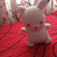 عروسک|اسباببازی بچه|رشت, کوی مهر|دیوار