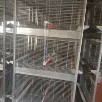 قفس پرورش صنعتی