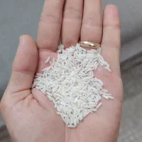 فروش برنج هاشمی ارگانیک