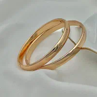 بدلیجات