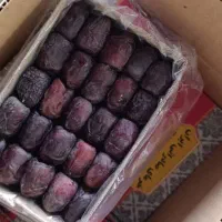 فروش خرمای مضافتی