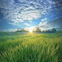 پنج خط ثابت سری فوق رند، دریاچه چیتگر