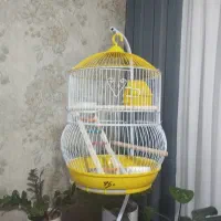 قفس نو فروشی