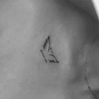 تخفیف تتو میتیمال