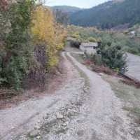 جذب کار آفرین در زمینه کشاورزی و دام وطیور|استخدام صنعتی، فنی، مهندسی|توتکابن, |دیوار