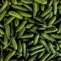 خیار تلخ درهم کیلویی 90