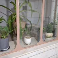 اجاره سوئیت واتاق در مهمانسرا لوکیشن عالی|اجارهٔ کوتاه‌مدت آپارتمان و سوئیت|سیرجان, |دیوار