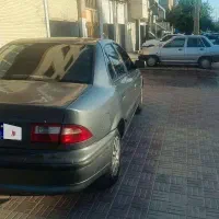 سمند نوک مدادی 86