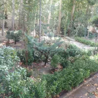 اجاره سالانه باغ و سوئیت در جاده چالوس|اجارهٔ خانه و ویلا|تهران, چیتگر شمالی|دیوار