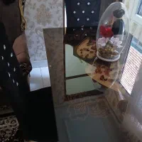 نهارخوری ۴نفره