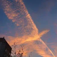 نگ ین  امید س.په