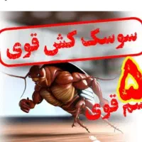 طعمه موش سم ساس مارمولک موریانه گال سوسک..