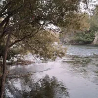 اجاره تخت و سکو کنار رودخانه|اجارهٔ کوتاهمدت ویلا و باغ|سامان, |دیوار