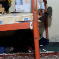 فروش لوازم خانگی|تخت و سرویس خواب|زابل, |دیوار