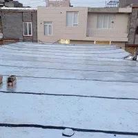 ایزوگام‌وقیروگونی