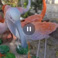 فلامینگو،|مجسمه، تندیس، ماکت|کرمان, |دیوار