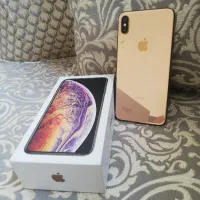Xs max 256