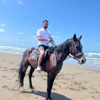 اسب