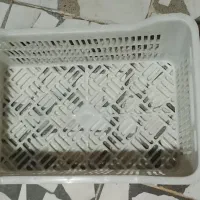 سبد پرتقال ۲۰کیلویی