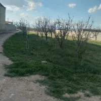 نهصد-مترزمین-مناسب-سندشش-دانگ