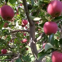 قطعات-تفکیکی-برق-و-آب-و-نگهبان-بستان-اباد