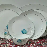 ظروف چینی|ظروف سرو و پذیرایی|مریوان, |دیوار