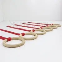 دارحلقه ژیمناستیک مسابقاتی و کمک آموزشی