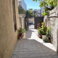 خانم مسلط به کامپیوتر جهت کار در کافینت