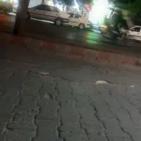اجاره مغازه در مارالان