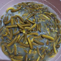 خیارشور خوش‌طعم ممتاز ،نول و سوپر ویژه ، تکی ،عمده