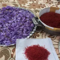 زعفران درجه یک یک همراه با بوی عطر|خوردنی و آشامیدنی|کوهدشت, |دیوار