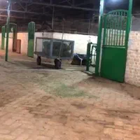 اجاره باشگاه سوارکاری ، پرورش اسب، اجاره باکس اسب|اجارهٔ دفتر صنعتی، کشاورزی، تجاری|کرج, برغان|دیوار