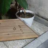 سنتور کارکرده