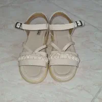 صندل