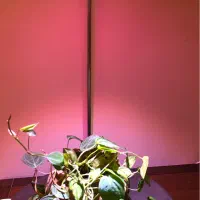 چراغ رشد گیاه